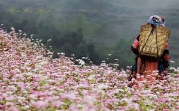 Thế nào là đẹp, thế nào là xấu